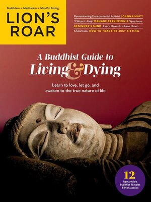 Lion's Roar - Magazine